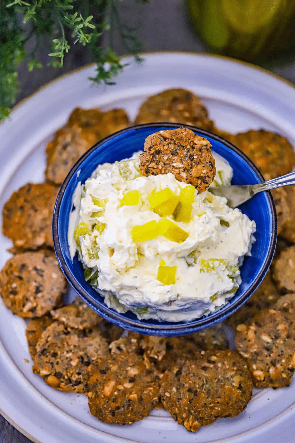 Vegan Dill Pickle Dip Recipe