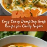 Delicious Curry Dumpling Soup Recipe