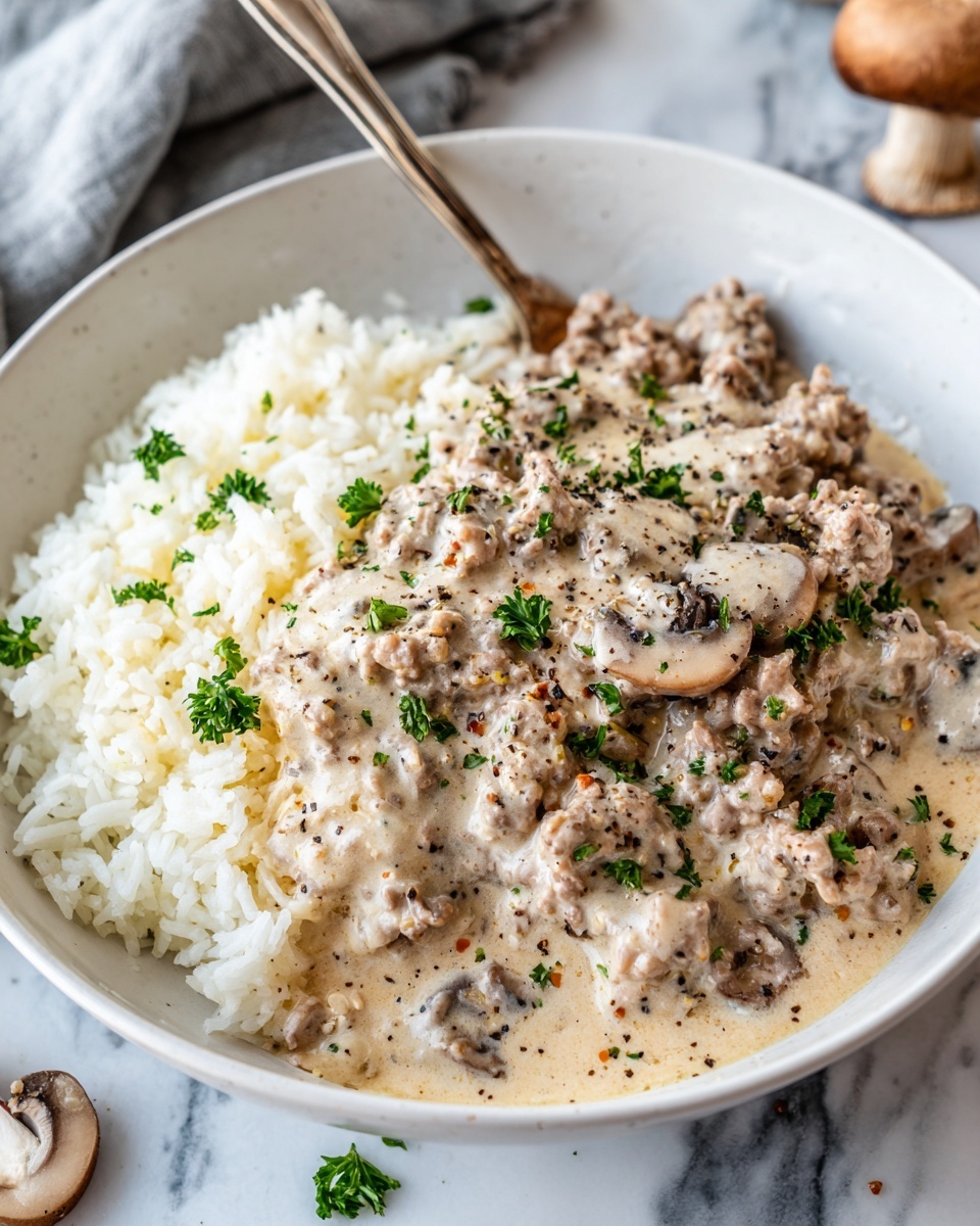 Ground Beef Stroganoff and Rice Recipe - Recipe Image
