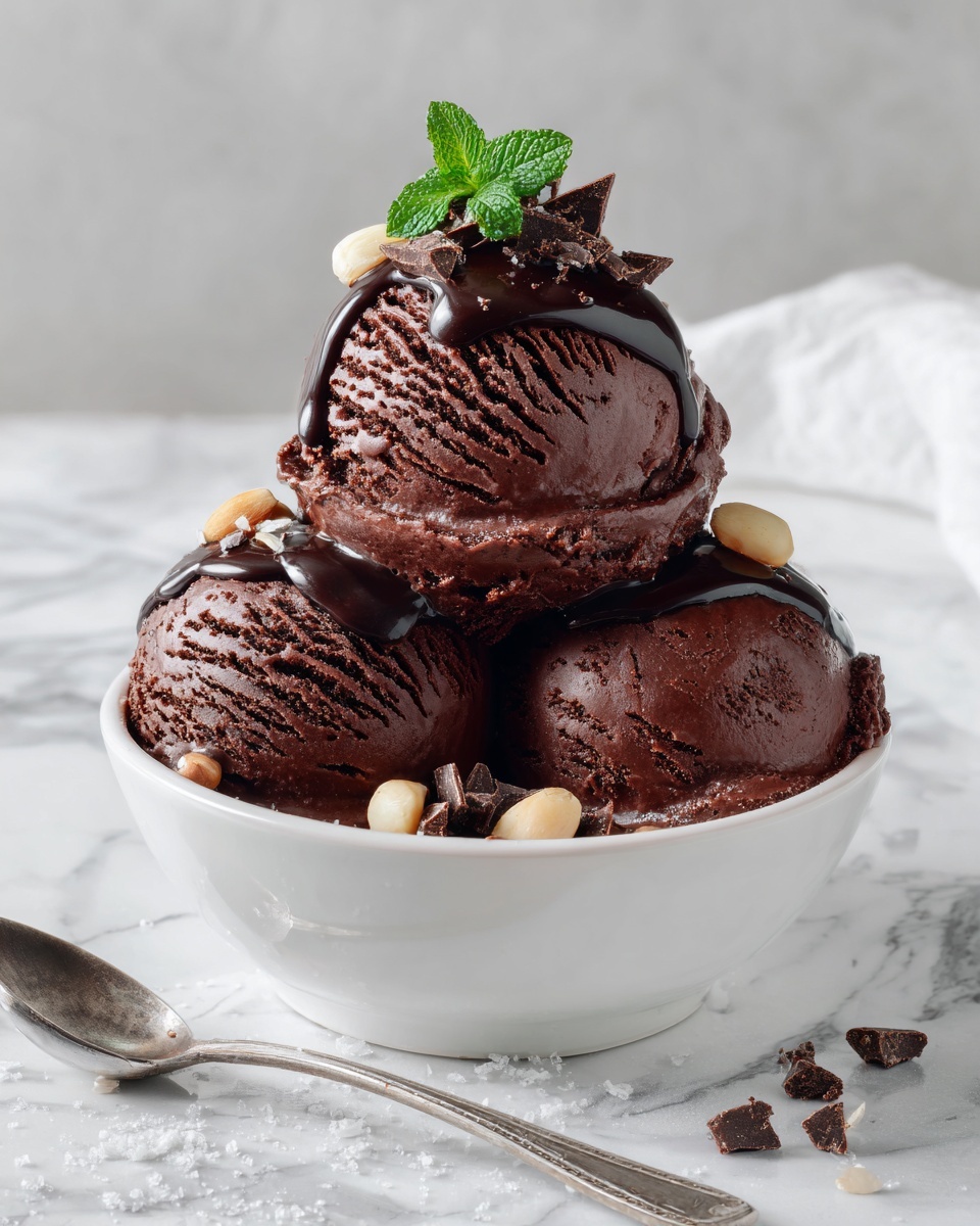 Double Chocolate Ice Cream Recipe - Recipe Image