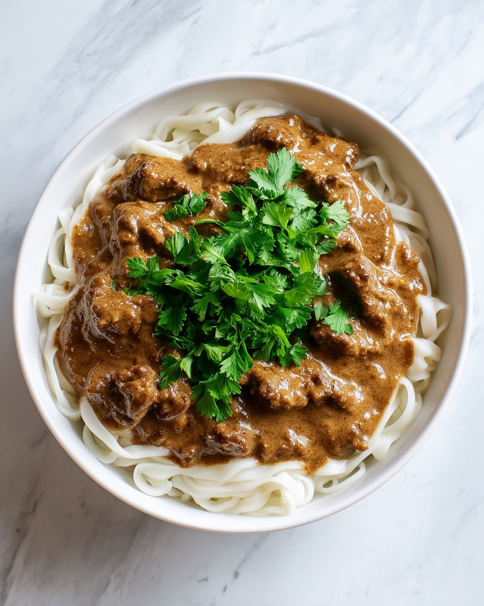 Slow Cooker Beef Stroganoff Recipe - Recipe Image
