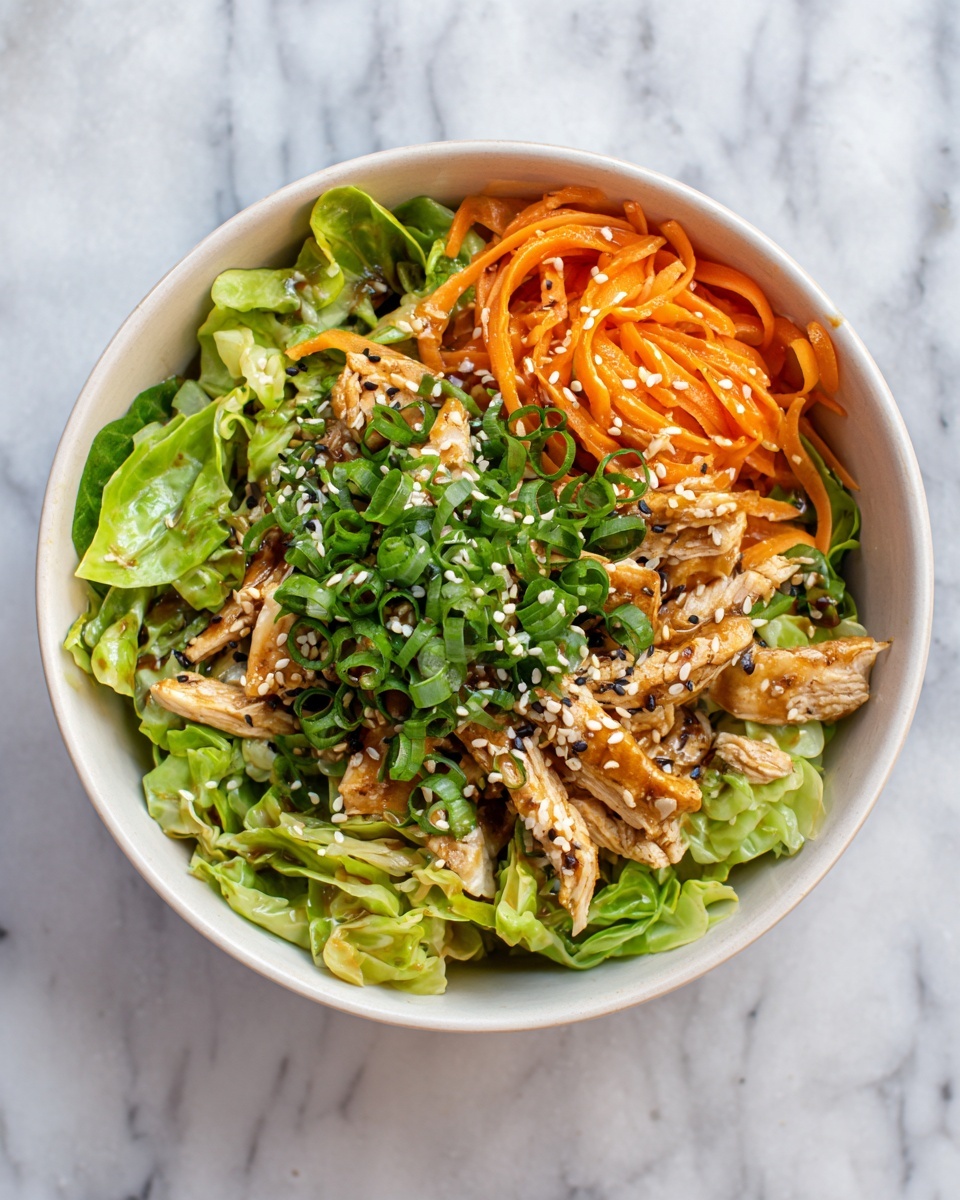 Chinese Chicken Cabbage Stir-Fry Recipe - Recipe Image